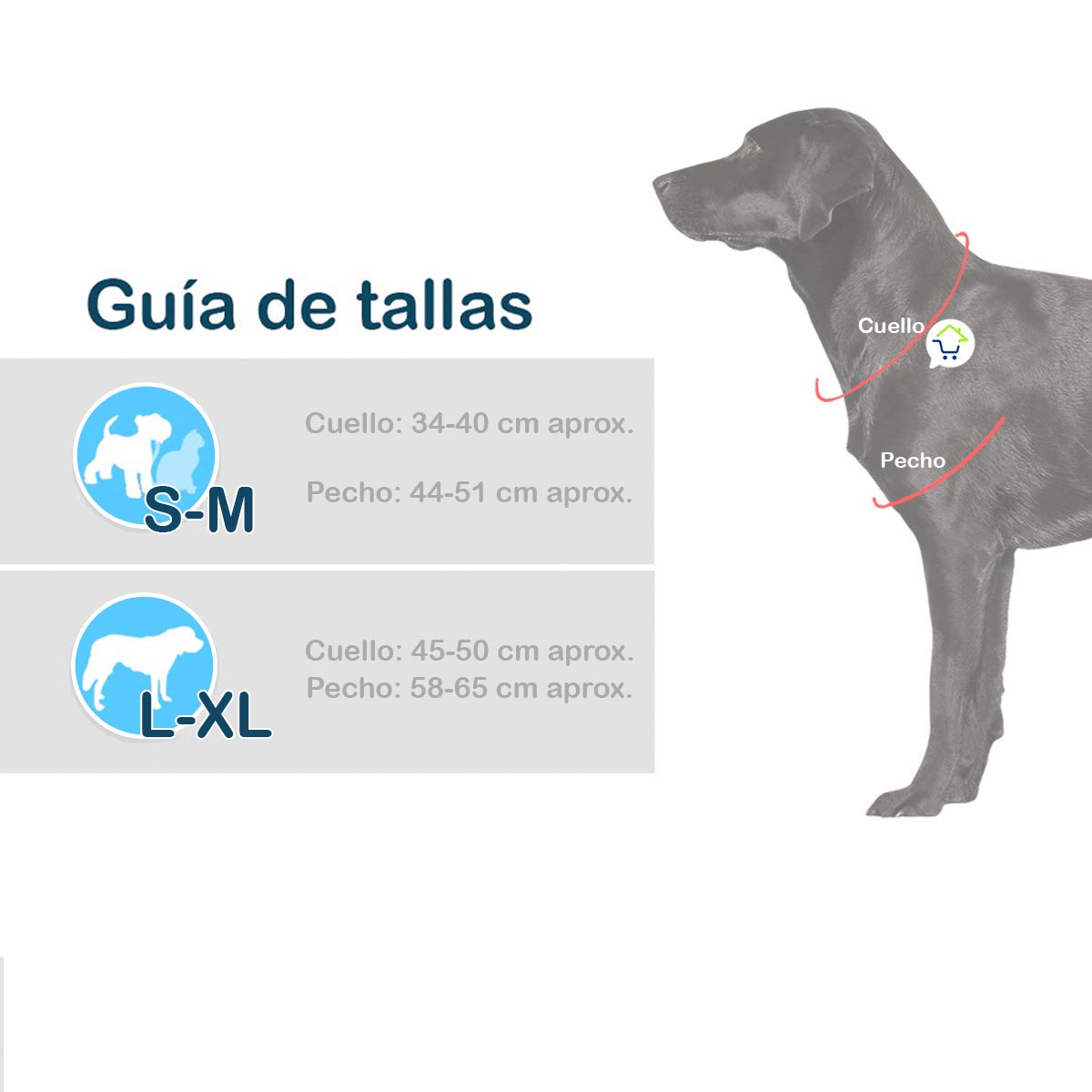 DISFRAZ CHUCKY PARA MASCOTAS - ENVÍO GRATIS 🏡👉🏾