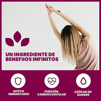 BERBERINA 1200mg -  ENVÍO GRATIS 😁😎