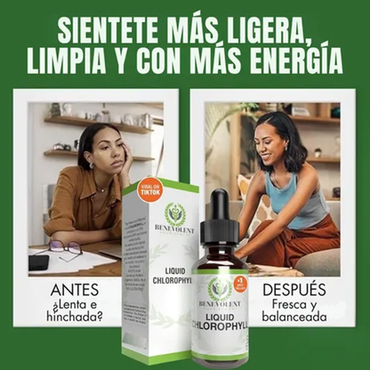 GOTAS DE CLOROFILA - ENVÍO GRATIS 🍃🤩