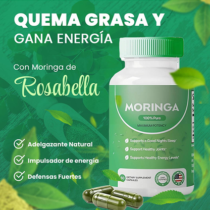 CÁPSULAS DE MORINGA (60 CAPSULAS) - ENVÍO GRATIS 💚🤩