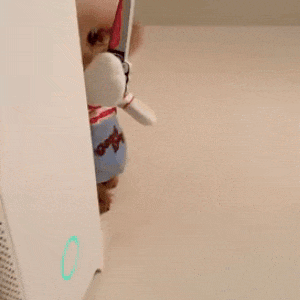 DISFRAZ CHUCKY PARA MASCOTAS - ENVÍO GRATIS 🏡👉🏾