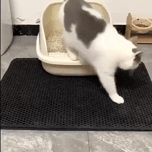 TAPETE ARENERO PARA GATOS - ENVÍO GRATIS 🥰⭐